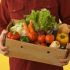 Tendinte in alimentatie